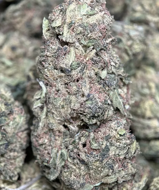 Pink Candy photo 4