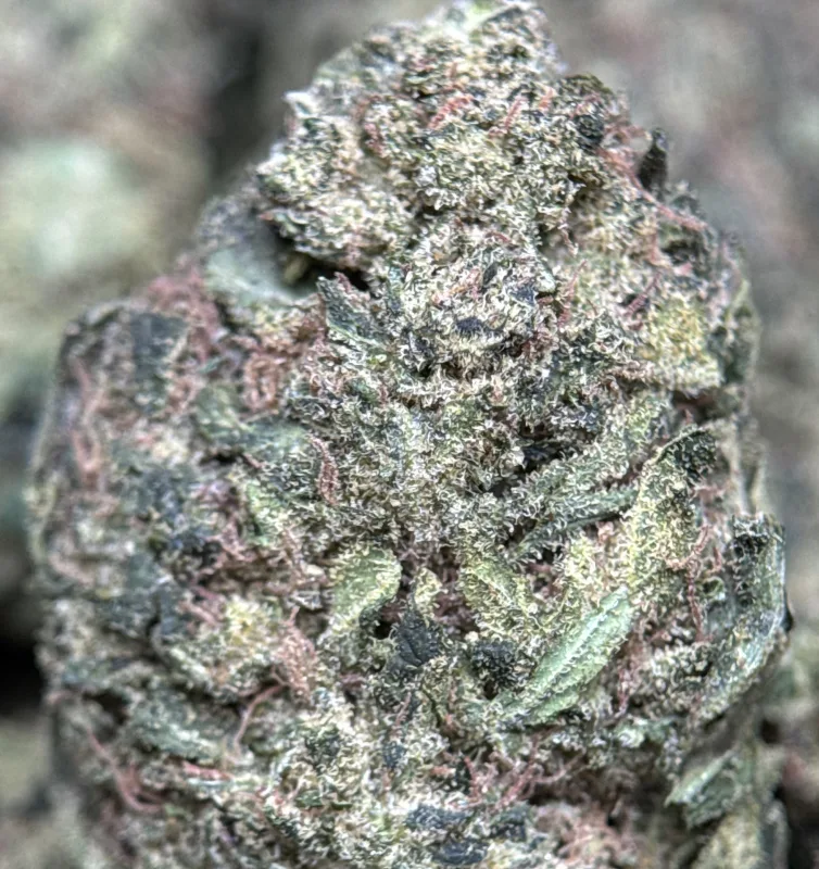 Pink Candy photo 5