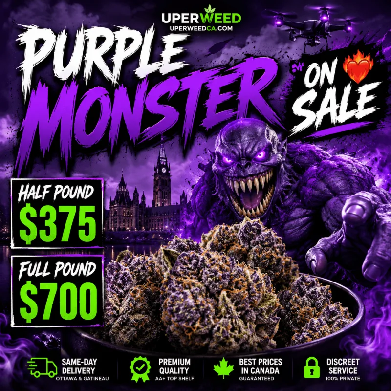 Purple Monster