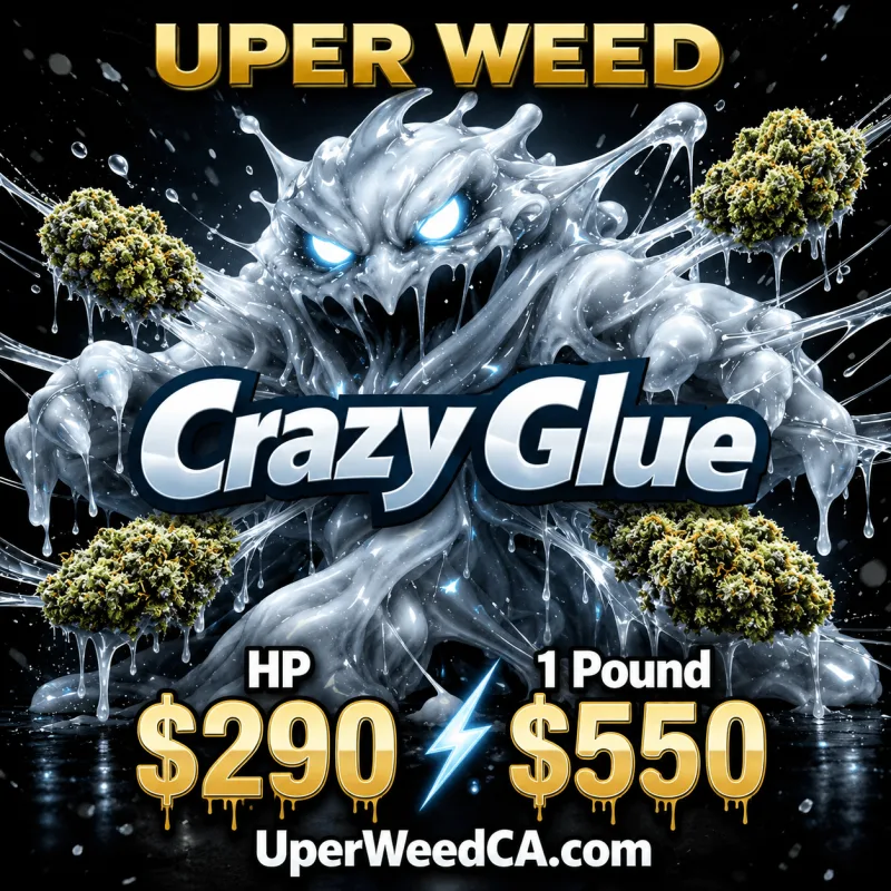 Crazy Glue