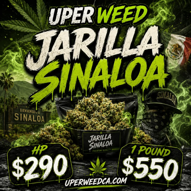 Jarilla Sinaloa