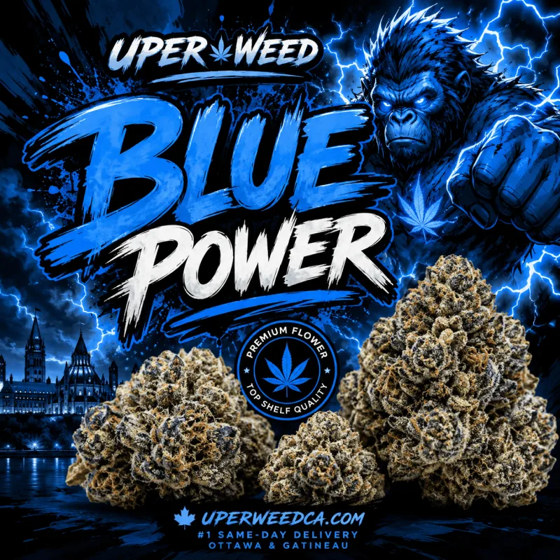 Blue Power
