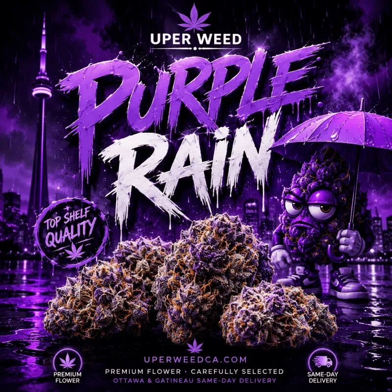 Purple Rain