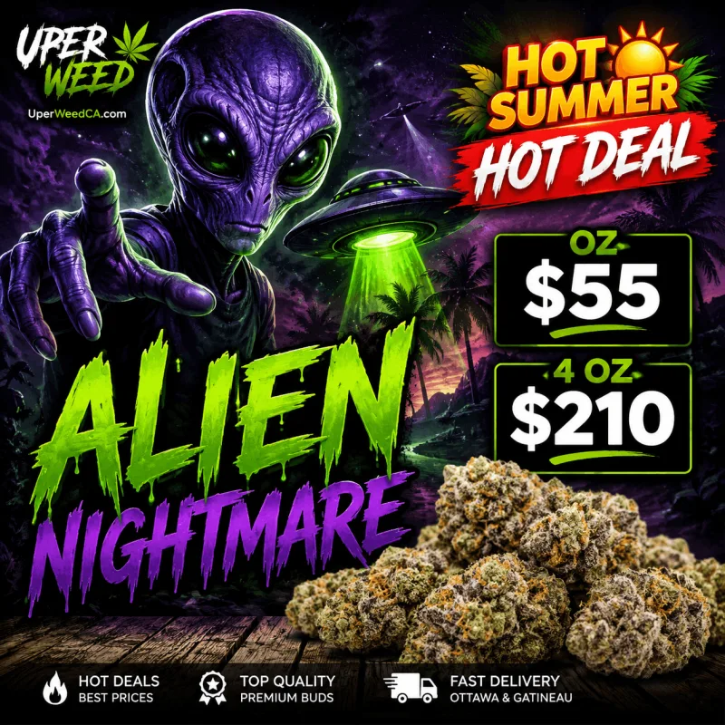 Alien Nightmares