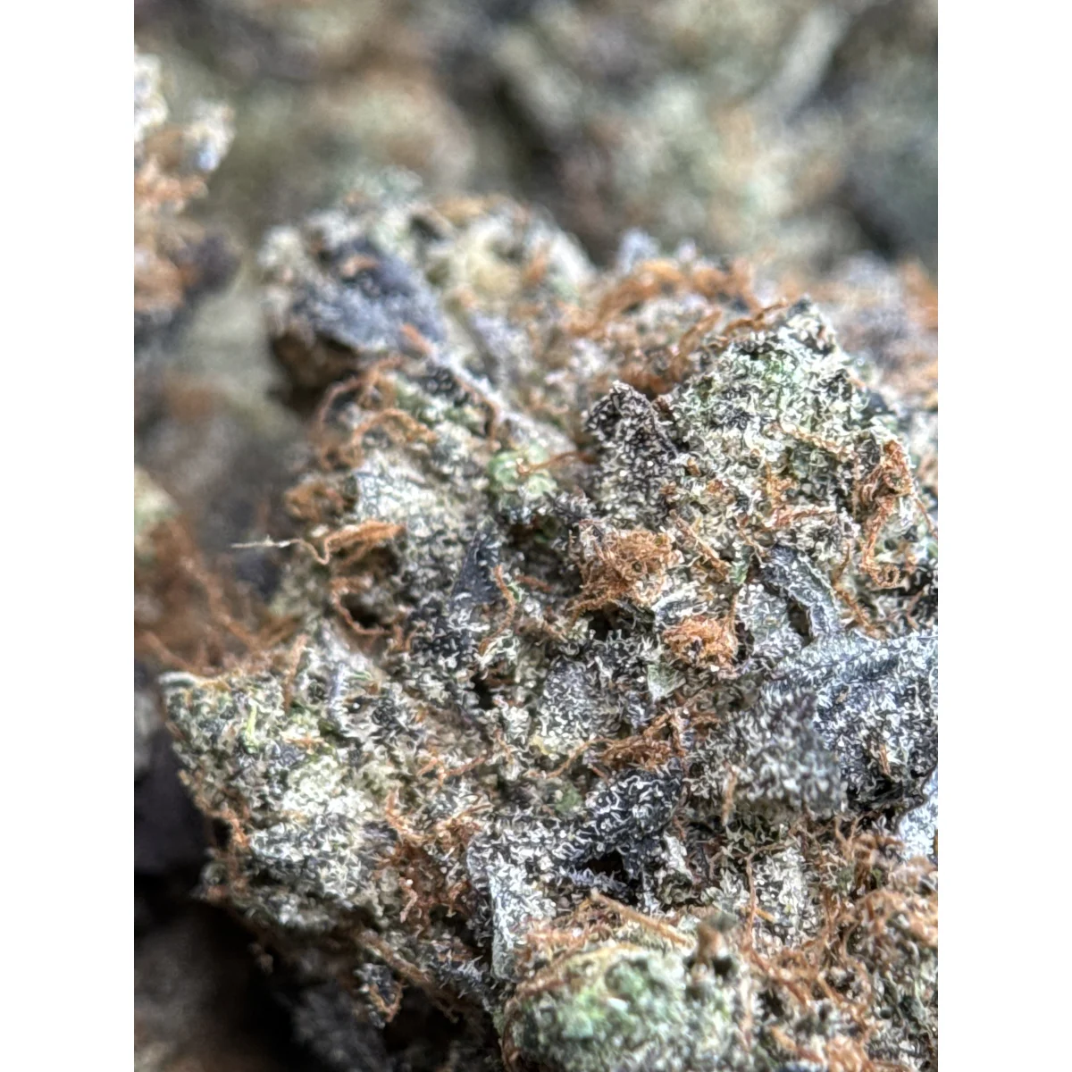 Death Bubba photo 5
