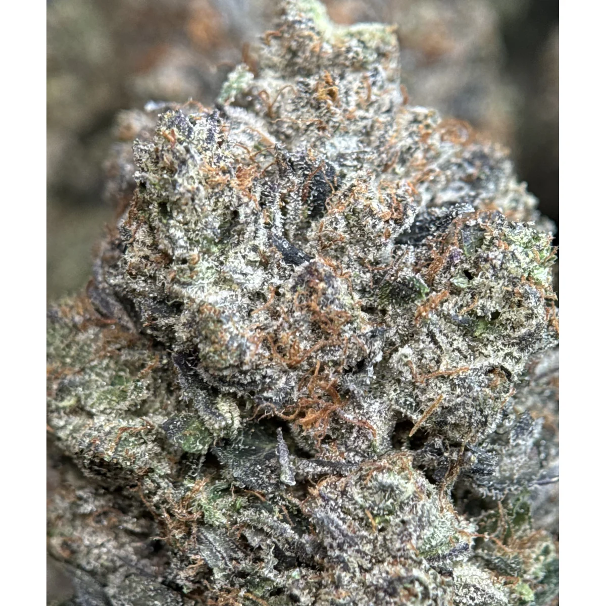 Death Bubba photo 6
