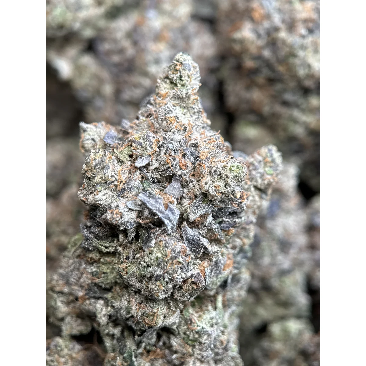 Death Bubba photo 7
