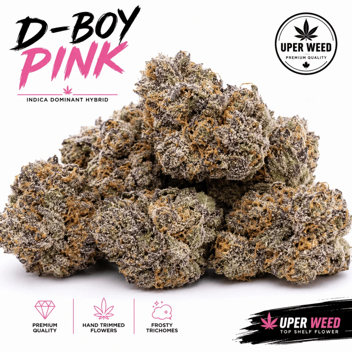D-Boy Pink