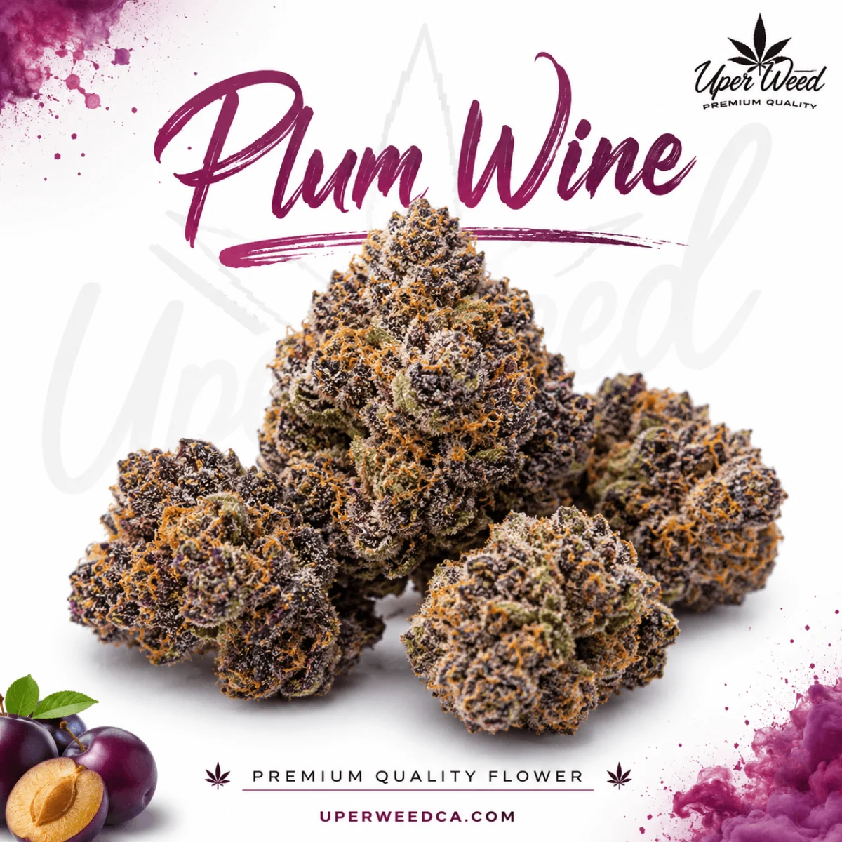 Plum Wine photo 1