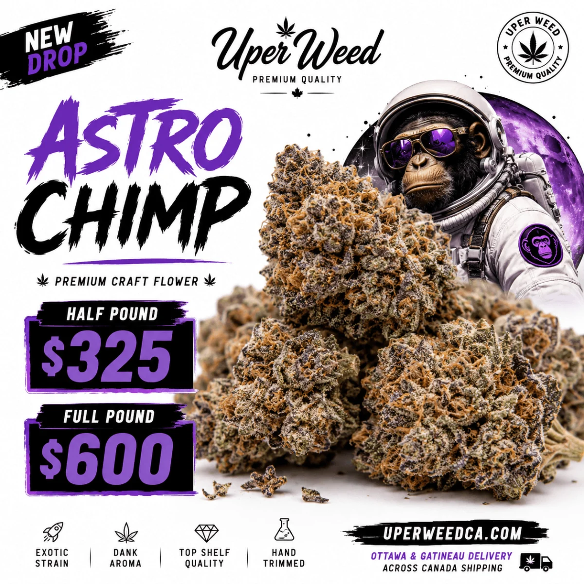 Astro Chimp