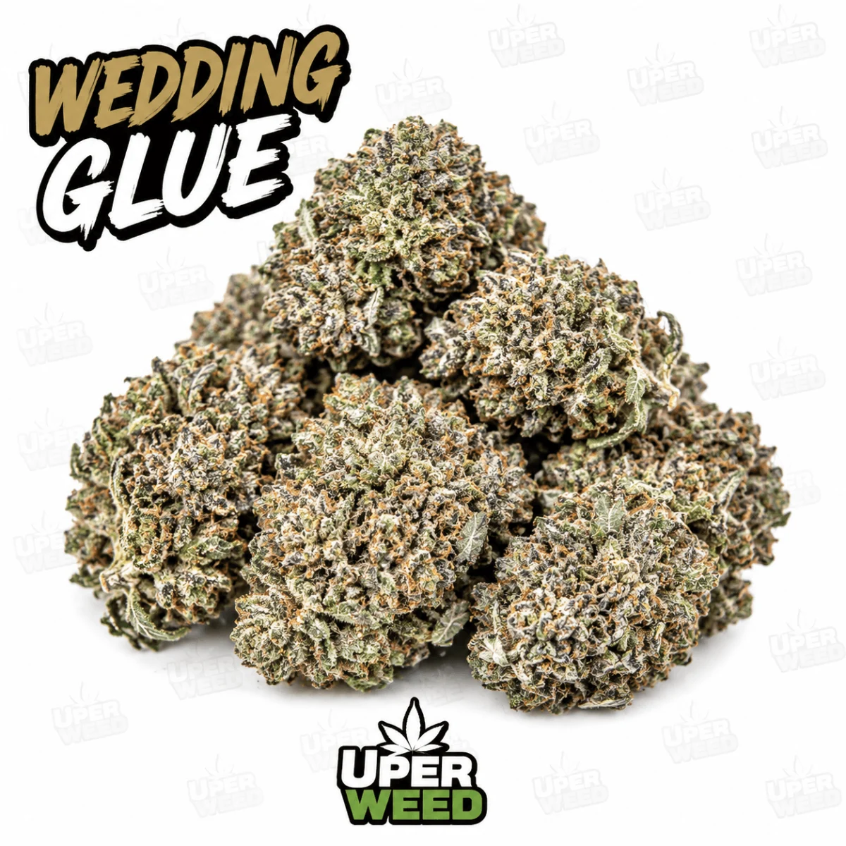 Wedding Glue photo 1