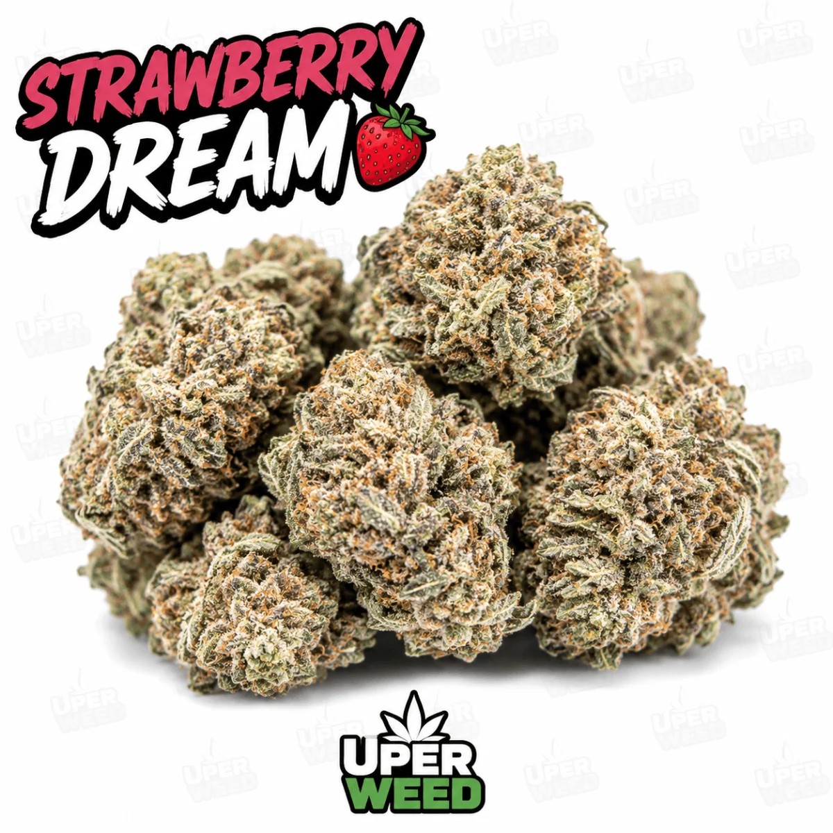 Strawberry Dream photo 1