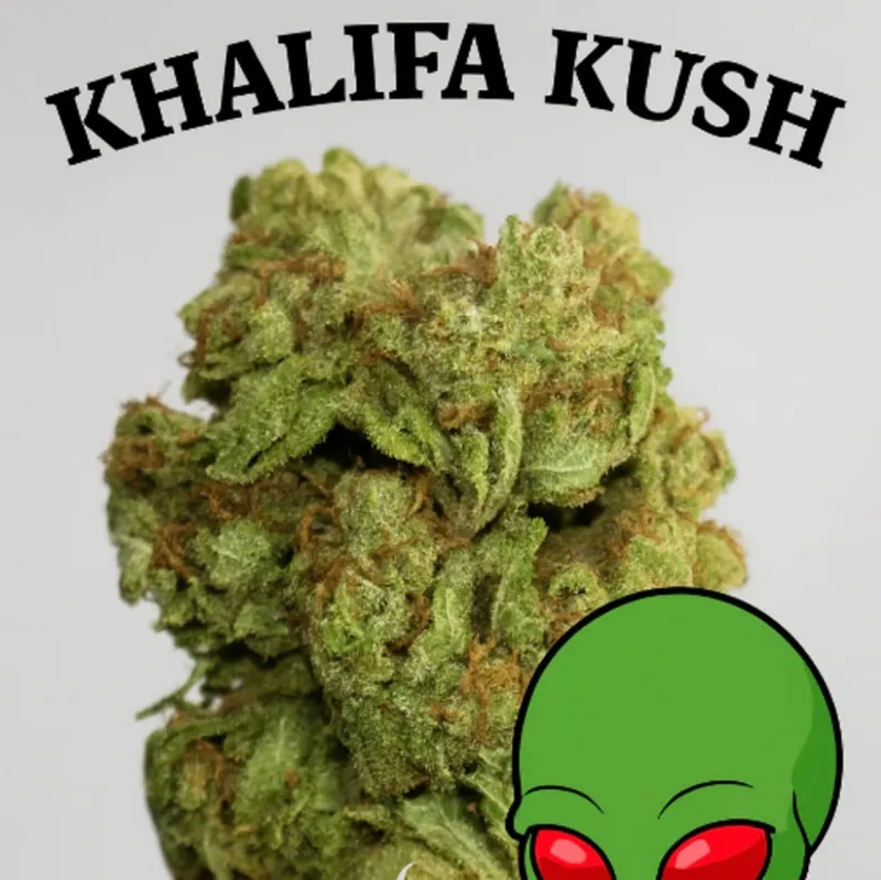 Khalifa Kush photo 1