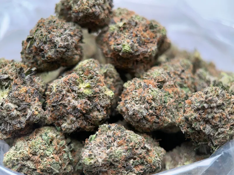 King Louis XIII photo 2