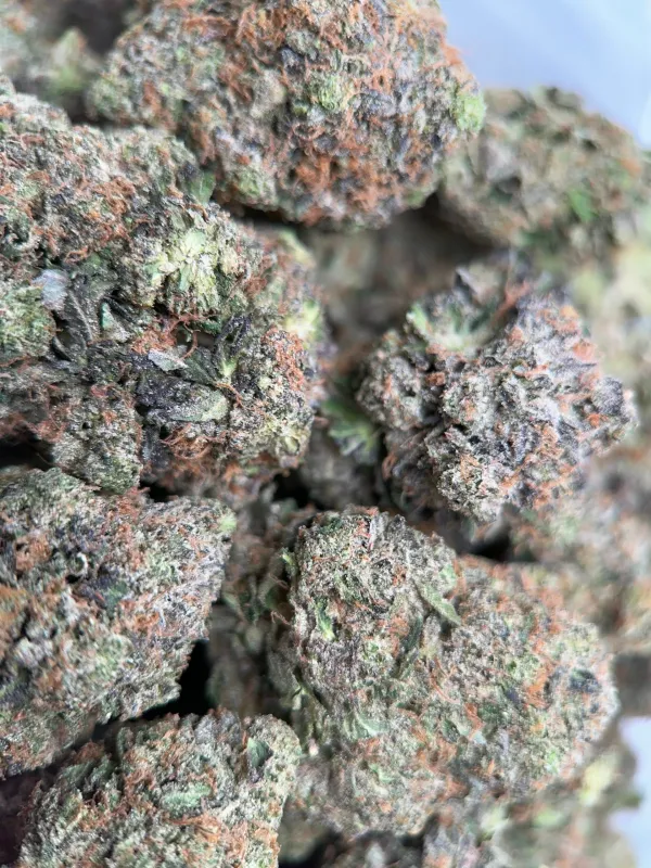 King Louis XIII photo 3