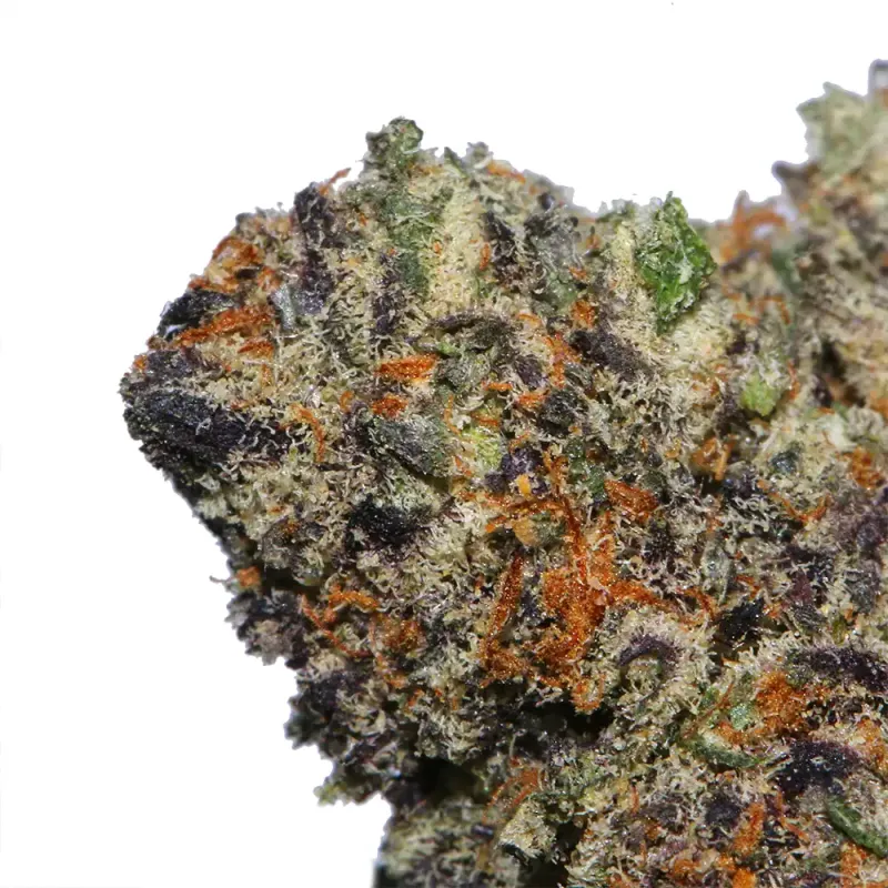 Knockout Runtz - Cali Bricks photo 1