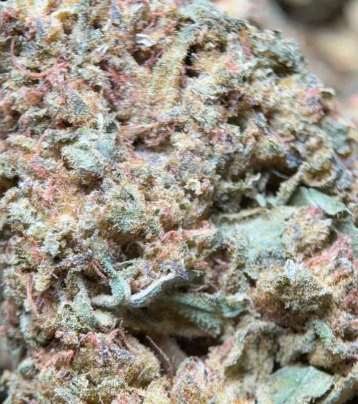 Lemon Skunk Diesel photo 4