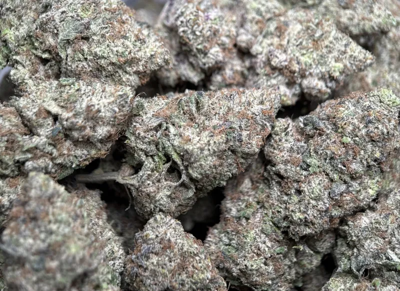 MAC 1 photo 2