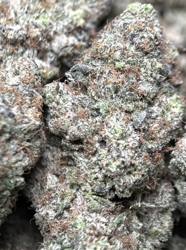 MAC 1 photo 4