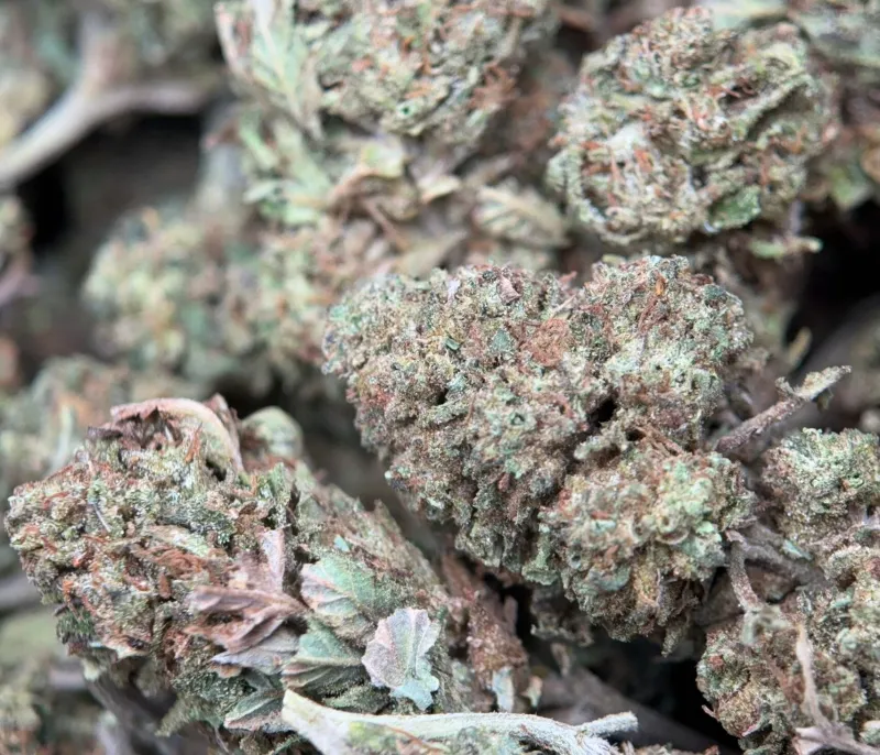 Muffin Indica - 4Oz Bulk Deal for $200 - Ottawa Weed Delivery photo 2