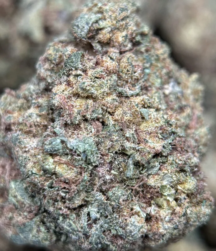 Pineapple Haze photo 3