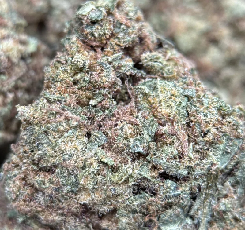 Pineapple Haze photo 4