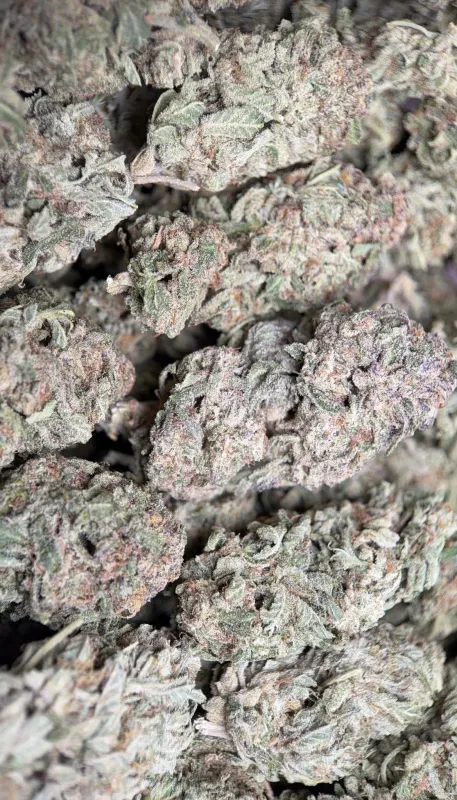 Pink Diesel photo 7