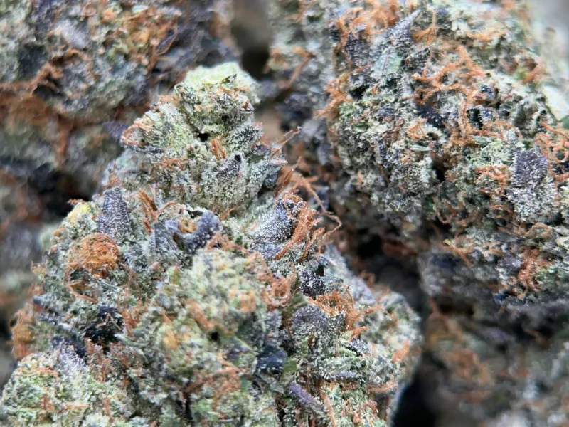 Pink Gasoline - Cali Brick photo 3