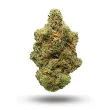 Pink Petrol Cannabis – BC High Quality Gas-Forward Indica photo 1