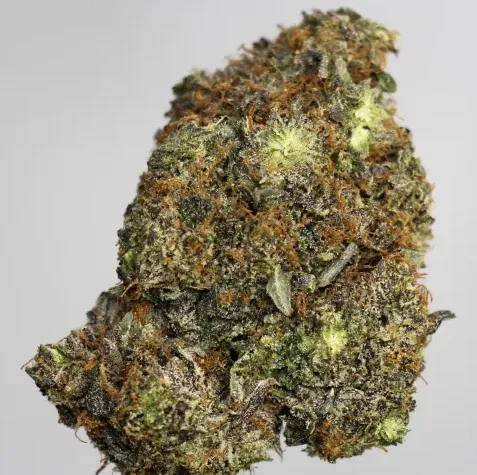 Pink Quiet Zone - Indica photo 1