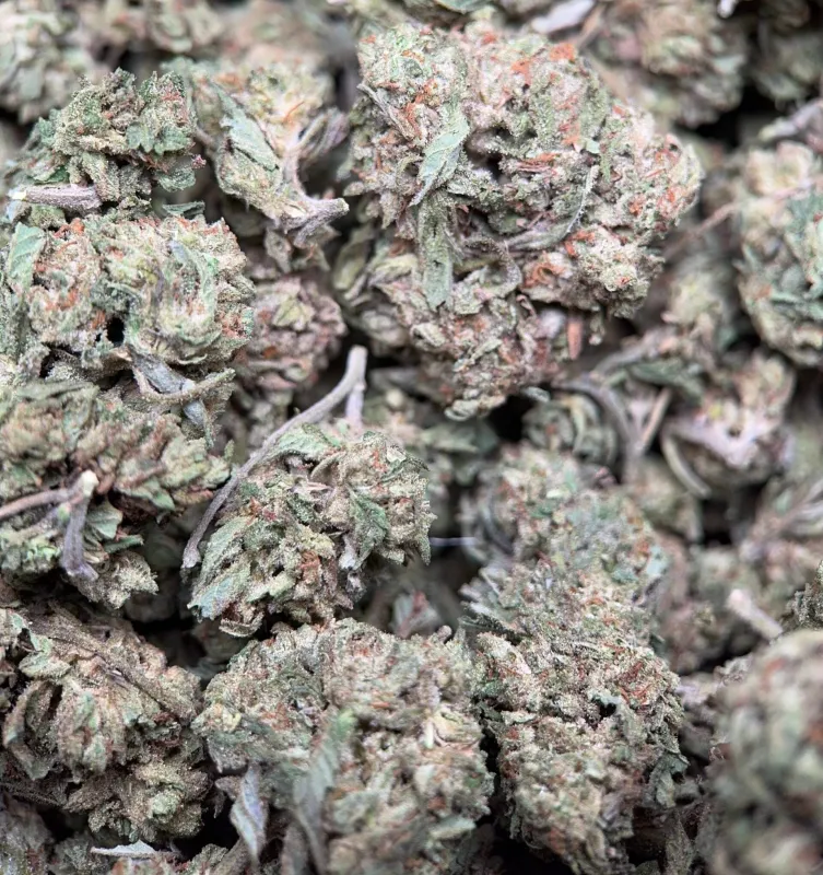 Pink Skywalker photo 4