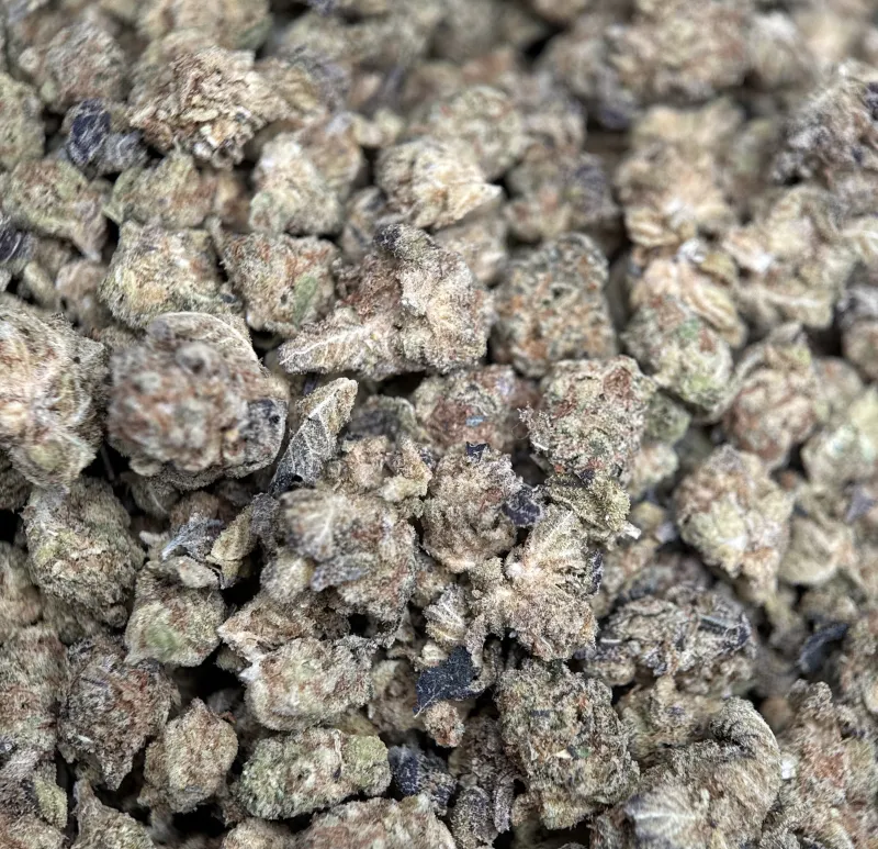 Popcorn Kush photo 3