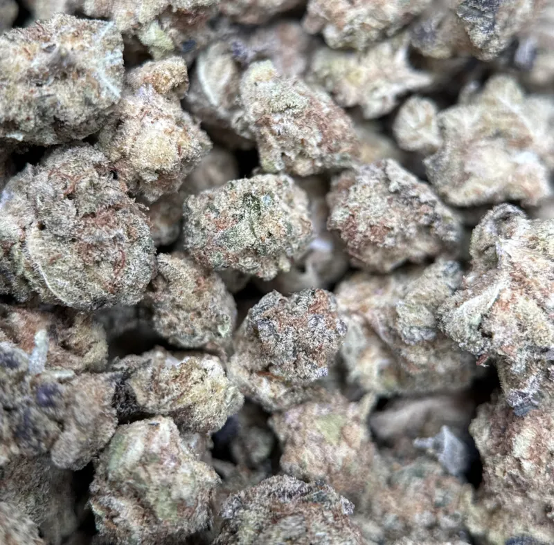 Popcorn Kush photo 4
