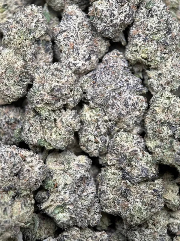 Purple Gas photo 2