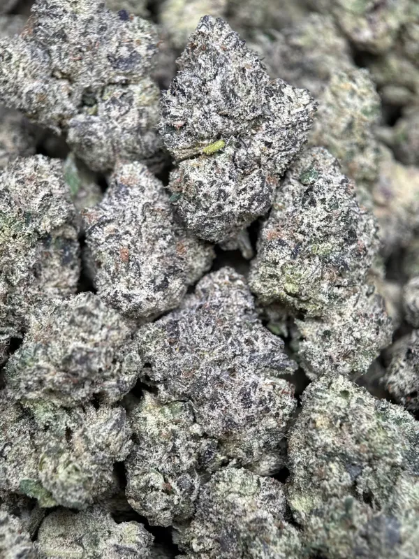 Purple Gas photo 3
