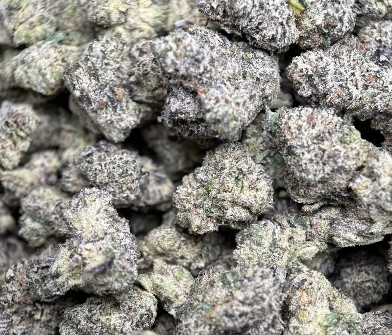 Purple Gas photo 6