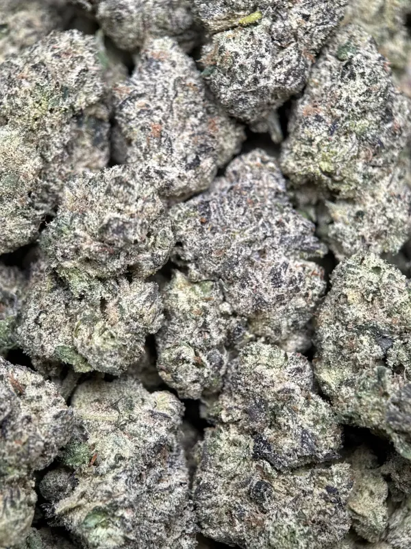 Purple Gas photo 7