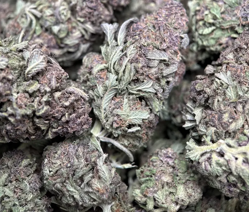 Purple Monster photo 3