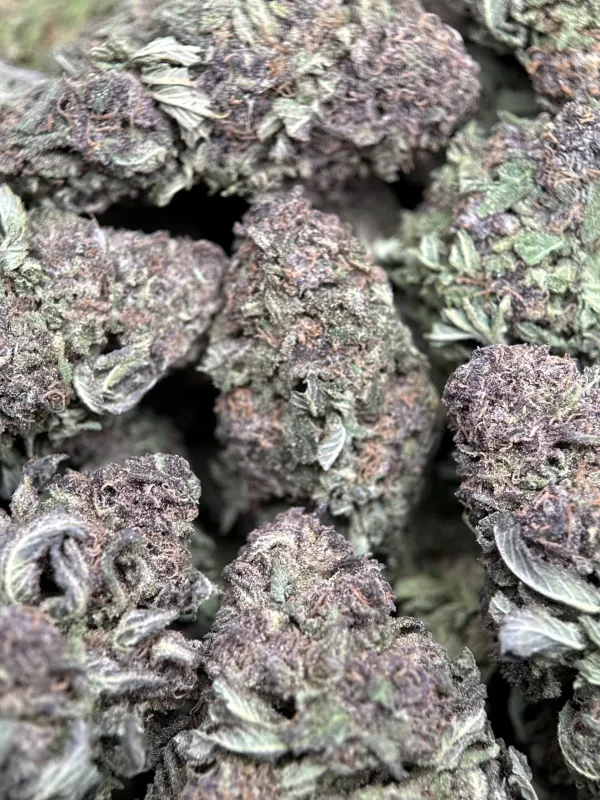 Purple Monster photo 6