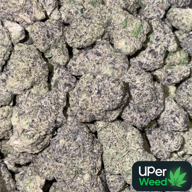 Purple Zushi photo 2