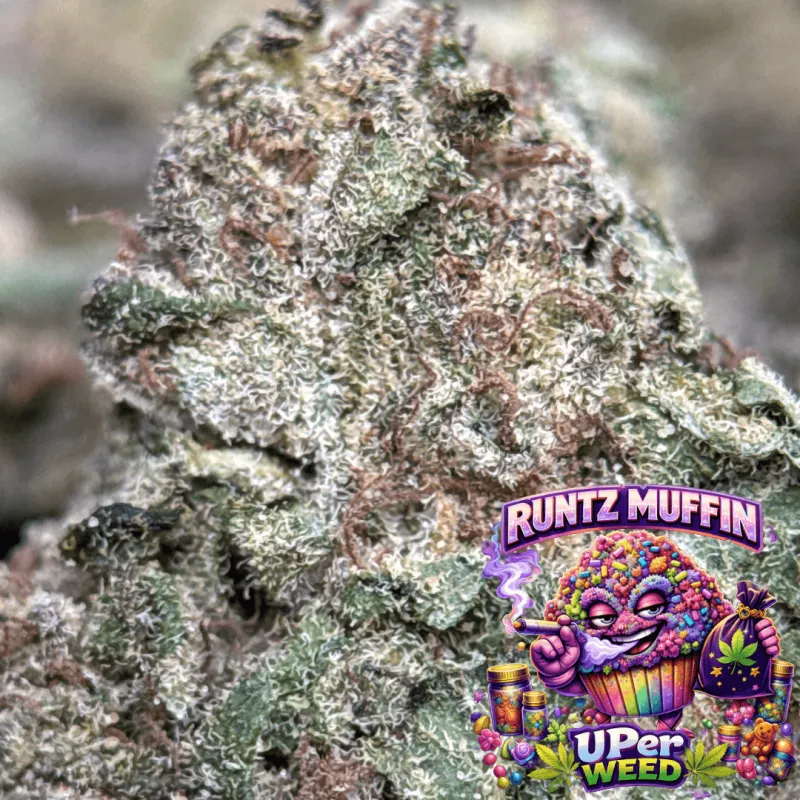 Runtz Muffin photo 3