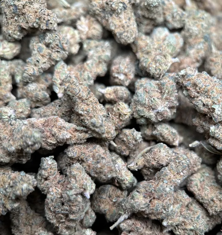 Sour Apple photo 4
