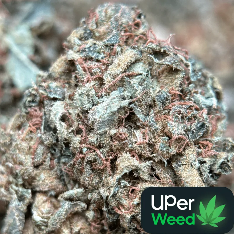 Sour Diesel