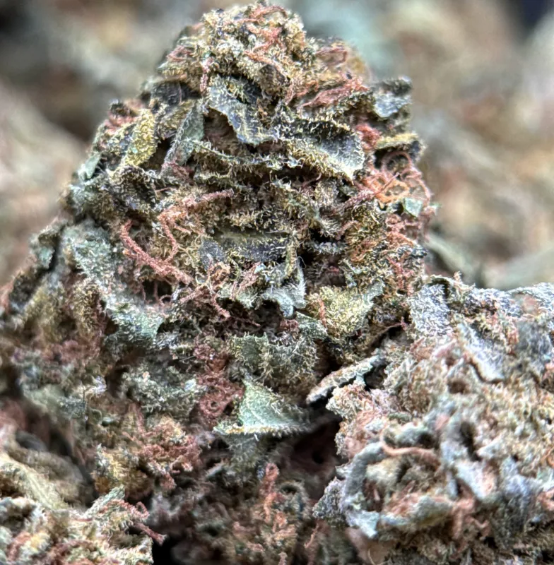 Sour Diesel photo 3