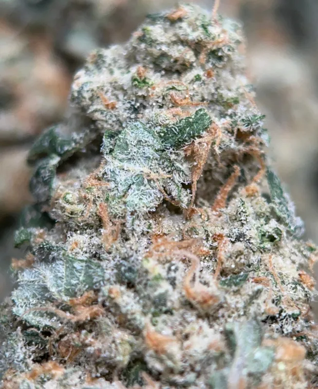 Space Dream - Sativa Hybrid - THC 32.65% | Ottawa & Gatineau Delivery | Canada-Wide Shipping photo 5