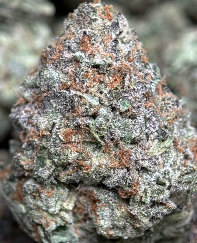 Sweet Gas photo 3