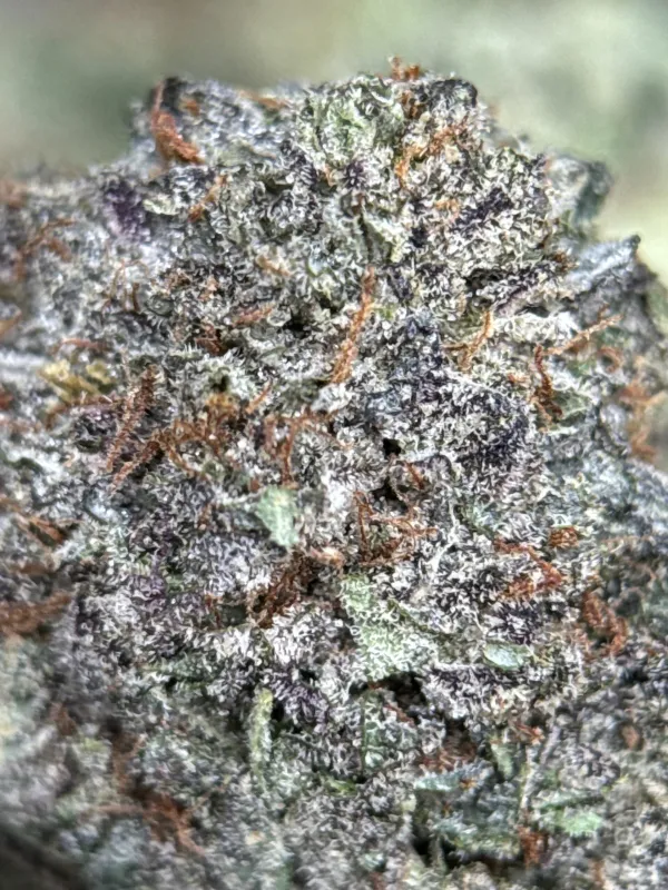 Sweet Gas photo 5