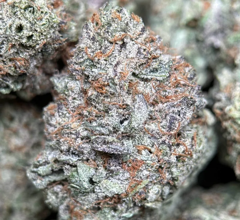Sweet Gas photo 7
