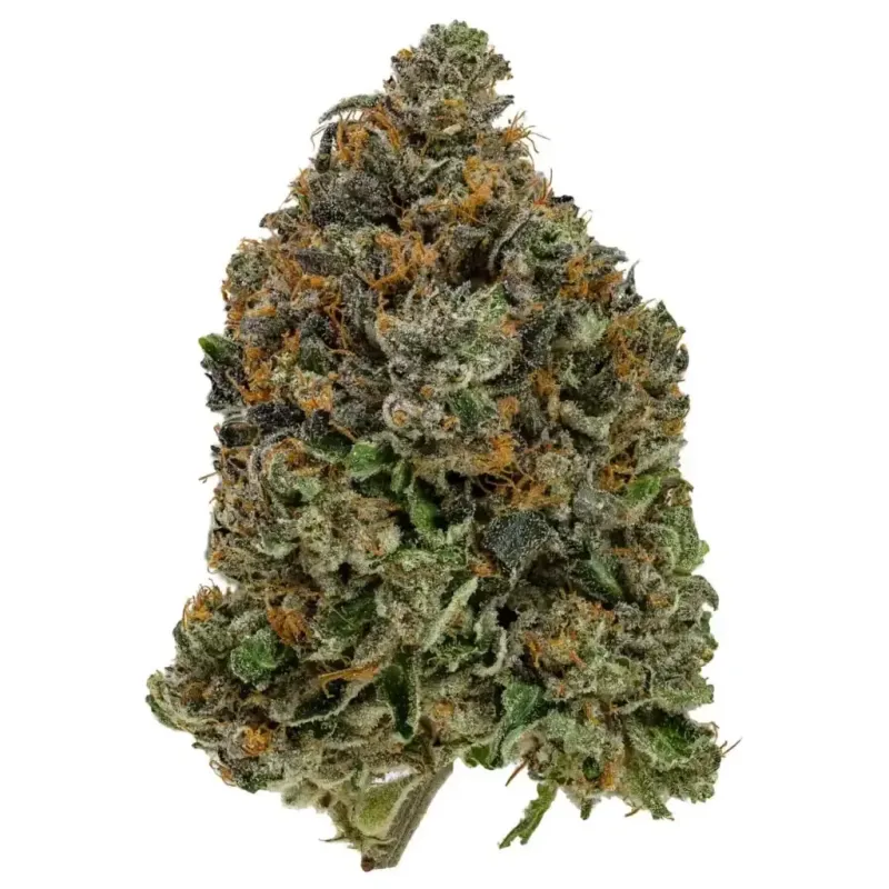 Tom Ford Pink Kush photo 2