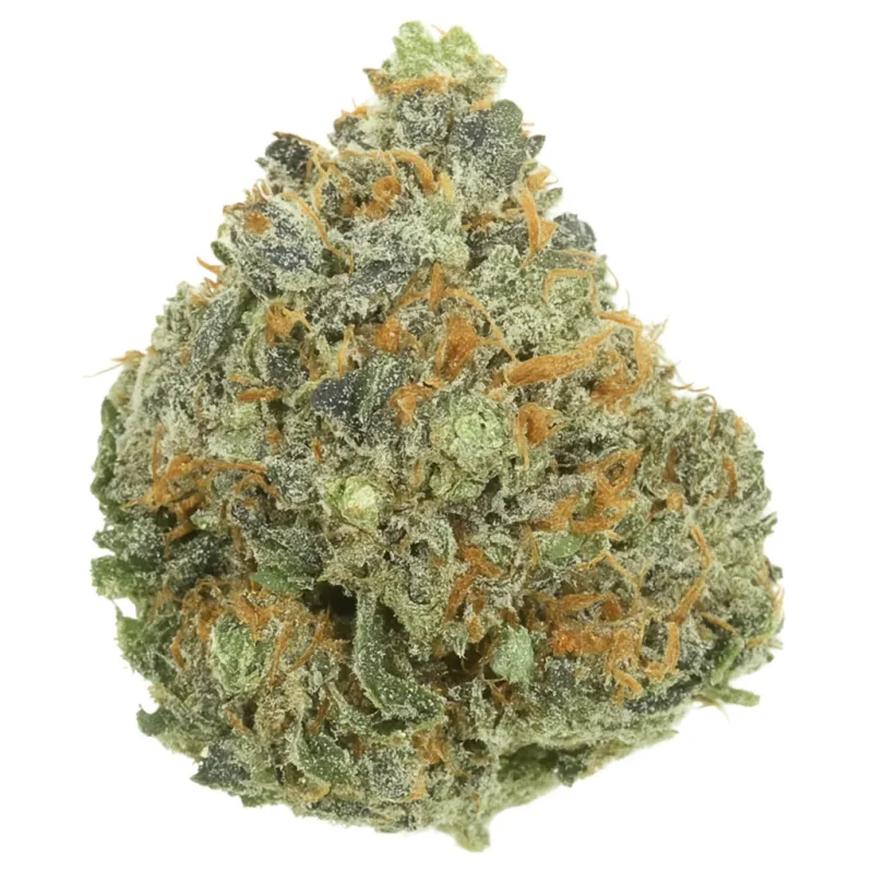 Tuna Destroyer Cannabis – Premium Grade Flower photo 1